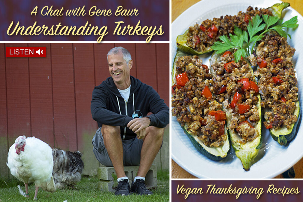 JAZZY VEGETARIAN PODCAST - Jazzy Vegetarian - Vegan and Delicious!