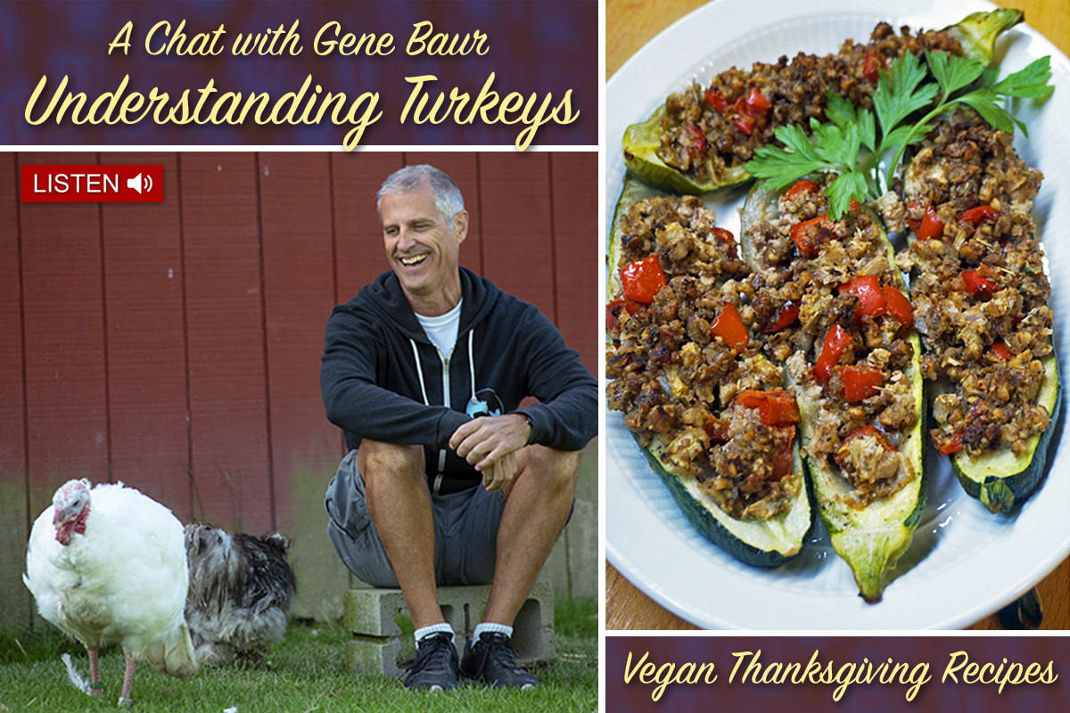 JAZZY VEGETARIAN PODCAST - Jazzy Vegetarian - Vegan and Delicious!